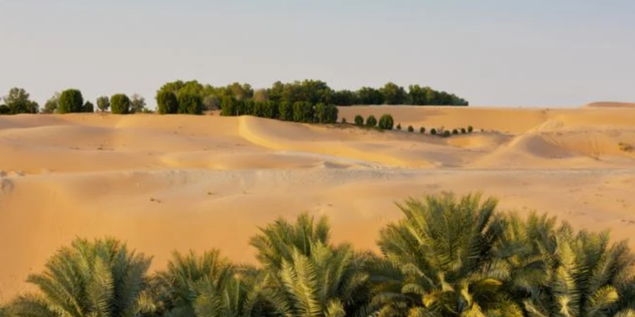 Actividades urbanas y al aire libre en Abu Dhabi